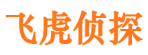 龙子湖捉小三公司